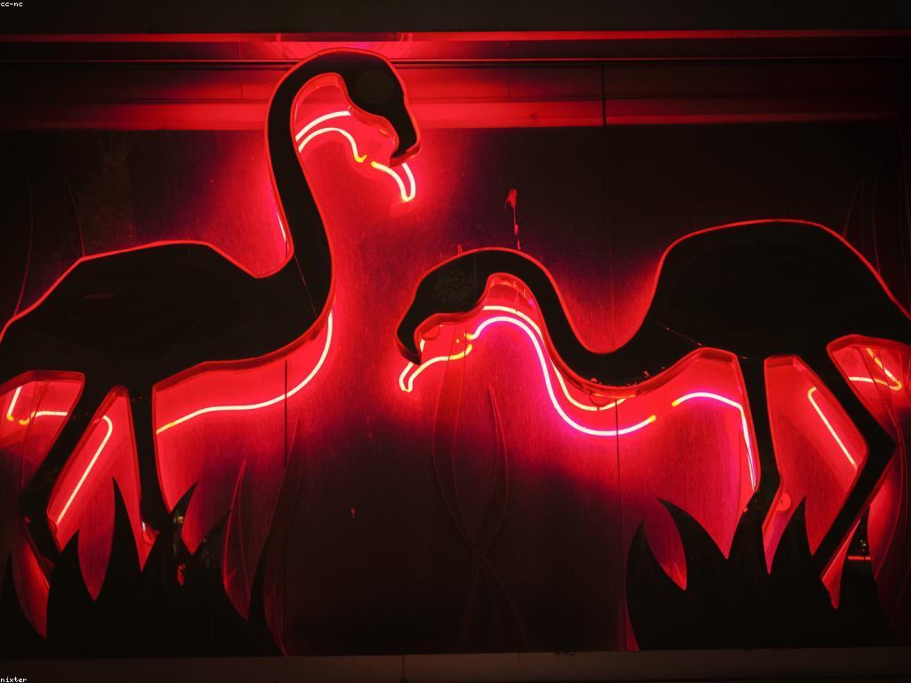 យល់ដឹងអំពីបច្ចេកវិទ្យាកាស៊ីណូ